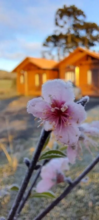 Lodge Chales Sossego Da Serra Urubici
